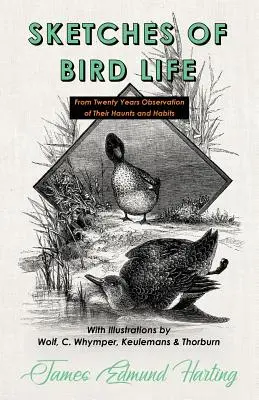 Sketches of Bird Life - From Twenty Years Observation of Their Haunts and Habits - Z ilustracjami Wolfa, C. Whympera, Keulemansa i Thorburna - Sketches of Bird Life - From Twenty Years Observation of Their Haunts and Habits - With Illustrations by Wolf, C. Whymper, Keulemans, and Thorburn