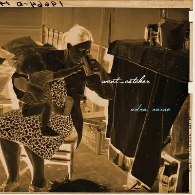 Want-Catcher: Zapis pisania w ciąży - Want-Catcher: A Record of Pregnant Writing