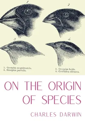 O powstawaniu gatunków: Dzieło literatury naukowej autorstwa Karola Darwina, które jest uważane za fundament biologii ewolucyjnej i - On the Origin of Species: A work of scientific literature by Charles Darwin which is considered to be the foundation of evolutionary biology and