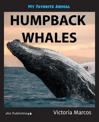 Moje ulubione zwierzę: humbak - My Favorite Animal: Humpback Whales