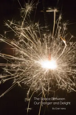 Przestrzeń między naszym niebezpieczeństwem a rozkoszą - The Space Between Our Danger And Delight