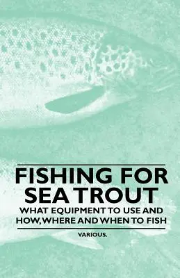 Łowienie troci - Jakiego sprzętu używać, gdzie i kiedy łowić? - Fishing for Sea Trout - What Equipment to Use and How, Where and When to Fish