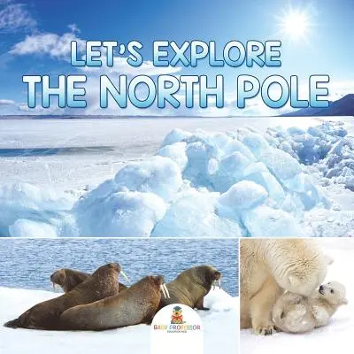 Poznajmy biegun północny - Let's Explore the North Pole
