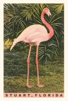 Vintage Journal Flamingo, Stuart, Floryda - Vintage Journal Flamingo, Stuart, Florida