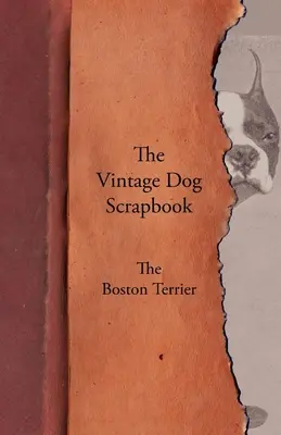 Album o psach w stylu vintage - Boston Terrier - The Vintage Dog Scrapbook - The Boston Terrier