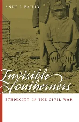 Niewidzialni południowcy: Etniczność w wojnie secesyjnej - Invisible Southerners: Ethnicity in the Civil War