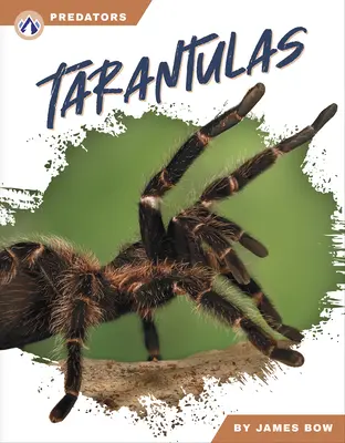 Tarantule - Tarantulas