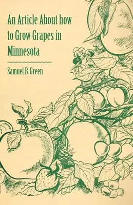 Artykuł o tym, jak uprawiać winogrona w Minnesocie - An Article about How to Grow Grapes in Minnesota