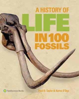 Historia życia w 100 skamieniałościach - A History of Life in 100 Fossils