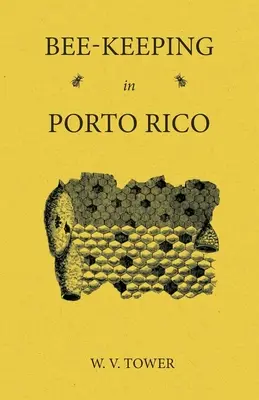 Hodowla pszczół w Porto Rico - Bee Keeping in Porto Rico