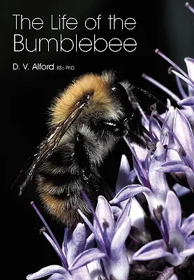 Życie trzmiela - The Life of the bumblebee