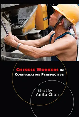 Chińscy pracownicy w perspektywie porównawczej - Chinese Workers in Comparative Perspective