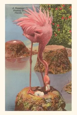 Vintage Journal Flamingi gniazdujące na Florydzie - Vintage Journal Flamingo Nesting in Florida