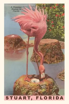 Vintage Journal Flamingi gniazdujące w Stuart, Floryda - Vintage Journal Flamingo Nesting in Stuart, Florida