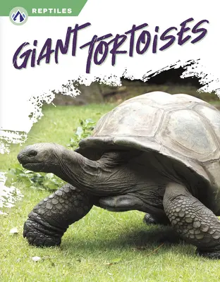 Żółwie olbrzymie - Giant Tortoises