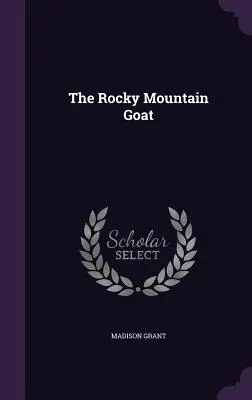 Koza z Gór Skalistych - The Rocky Mountain Goat