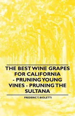 Najlepsze winogrona dla Kalifornii - Przycinanie młodych winorośli - Przycinanie sułtanki - The Best Wine Grapes for California - Pruning Young Vines - Pruning the Sultana