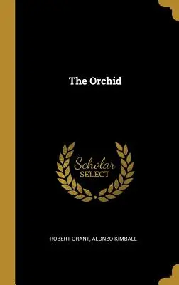 Orchidea - The Orchid