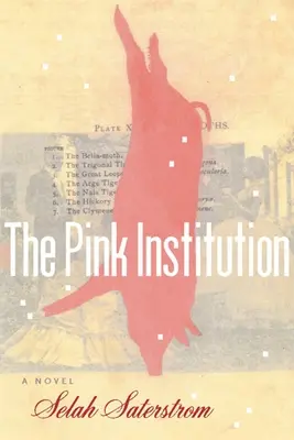 Różowa instytucja - The Pink Institution