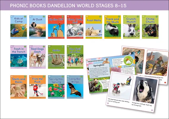 Książki foniczne Dandelion World Etages 8-15 (Słowa z czterema dźwiękami CVCC) - Phonic Books Dandelion World Stages 8-15 (Words with Four Sounds CVCC)