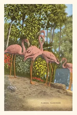 Vintage Journal Flamingi, Floryda - Vintage Journal Flamingos, Florida