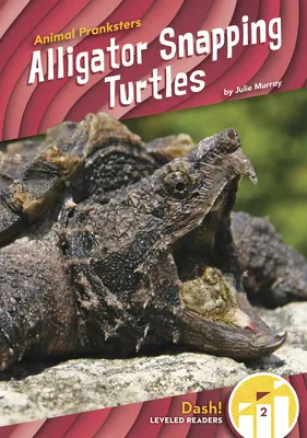 Żółwie aligatory - Alligator Snapping Turtles