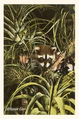 Dziennik historyczny Florida Coon, ananasy - Vintage Journal A Florida Coon, Pineapples