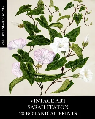 Vintage Art: Sarah Featon: 20 odbitek botanicznych - Vintage Art: Sarah Featon 20 Botanical Prints