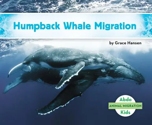 Migracja wielorybów humbaków - Humpback Whale Migration