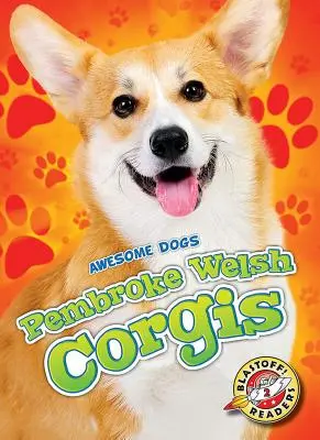 Pembroke Welsh Corgi - Pembroke Welsh Corgis