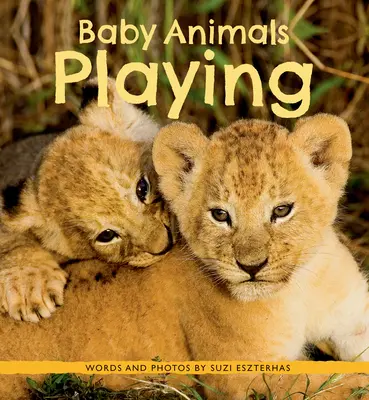 Bawiące się małe zwierzęta - Baby Animals Playing