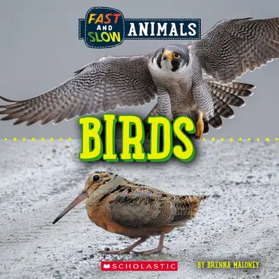 Szybko i wolno: Ptaki (Dziki świat) - Fast and Slow: Birds (Wild World)