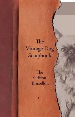 Album o psach w stylu vintage - Gryfon brukselski - The Vintage Dog Scrapbook - The Griffon Bruxellois