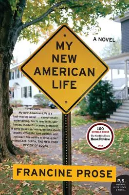 Moje nowe amerykańskie życie - My New American Life