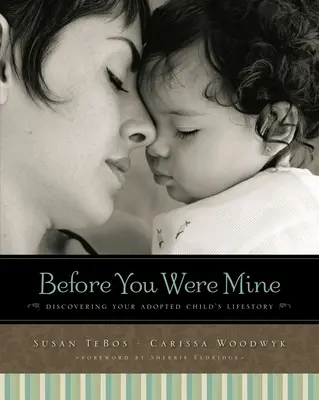 Zanim byłeś mój: Odkrywanie historii życia adoptowanego dziecka - Before You Were Mine: Discovering Your Adopted Child's Lifestory