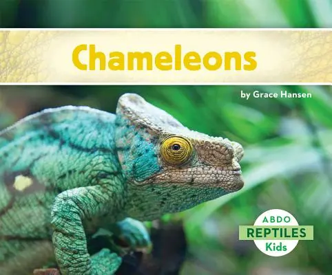 Kameleony - Chameleons