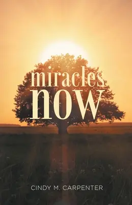 Cuda teraz - Miracles Now