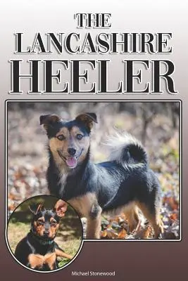 The Lancashire Heeler: Kompletny i kompleksowy przewodnik dla właścicieli: Kupowanie, posiadanie, zdrowie, pielęgnacja, szkolenie, posłuszeństwo, zrozumienie i - The Lancashire Heeler: A Complete and Comprehensive Owners Guide to: Buying, Owning, Health, Grooming, Training, Obedience, Understanding and