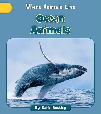 Zwierzęta oceanów - Ocean Animals