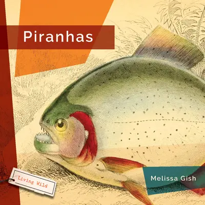 Piranie - Piranhas