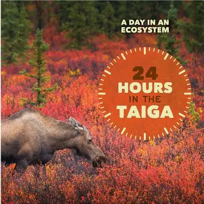 24 godziny w tajdze - 24 Hours in the Taiga