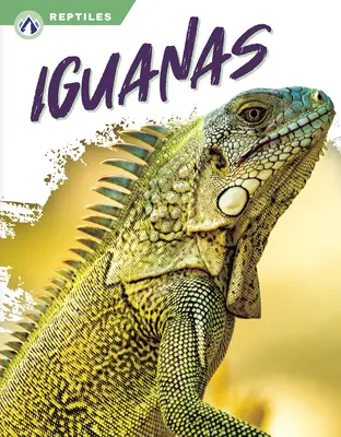 Iguany - Iguanas