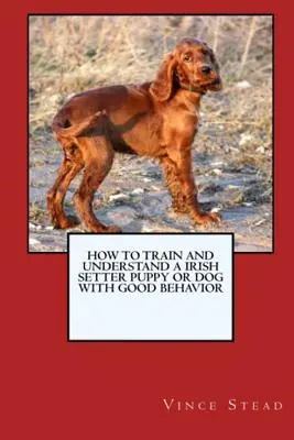 Jak wytresować i wychować szczeniaka lub psa rasy seter irlandzki z dobrym zachowaniem - How to Train and Raise a Irish Setter Puppy or Dog with Good Behavior