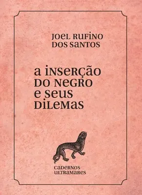 A insero do negro e seus dilemas