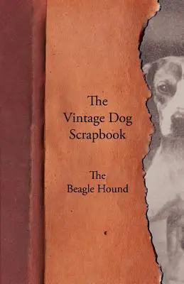 Album o psach w stylu vintage - Beagle Hound - The Vintage Dog Scrapbook - The Beagle Hound