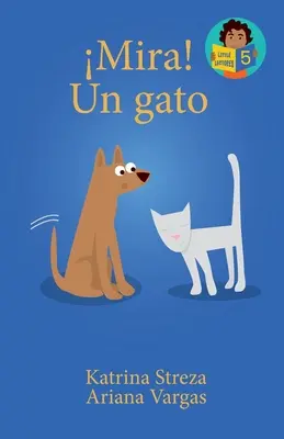 Mira! Un Gato