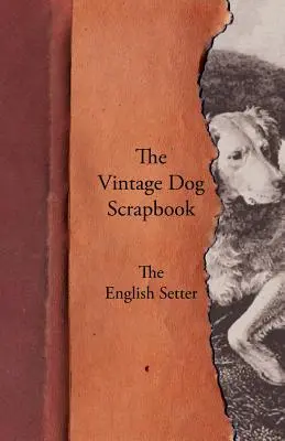 Album o psach w stylu vintage - seter angielski - The Vintage Dog Scrapbook - The English Setter