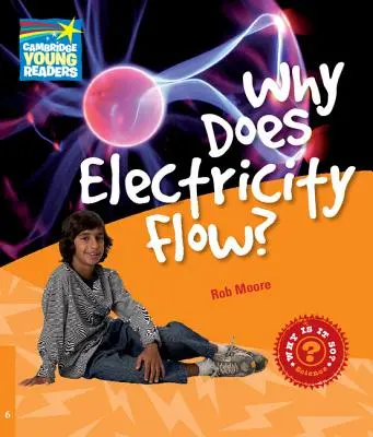 Dlaczego płynie prąd? Podręcznik poziomu 6 - Why Does Electricity Flow? Level 6 Factbook