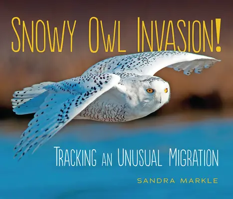 Inwazja sów śnieżnych! Śledzenie niezwykłej migracji - Snowy Owl Invasion!: Tracking an Unusual Migration