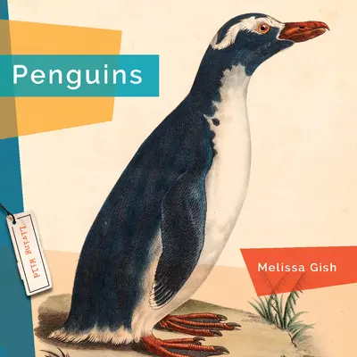 Pingwiny - Penguins